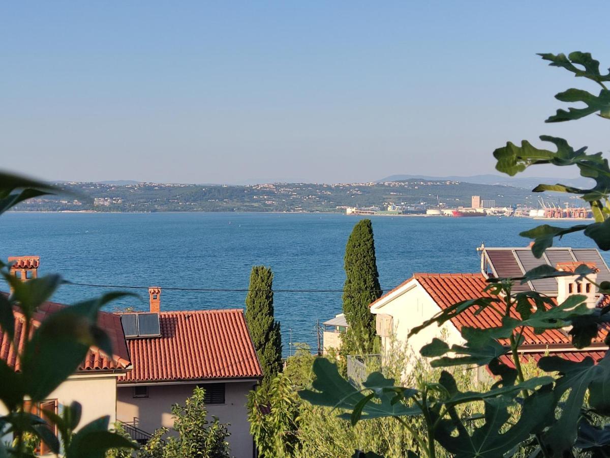 Apartment Rea Koper városi község Kültér fotó